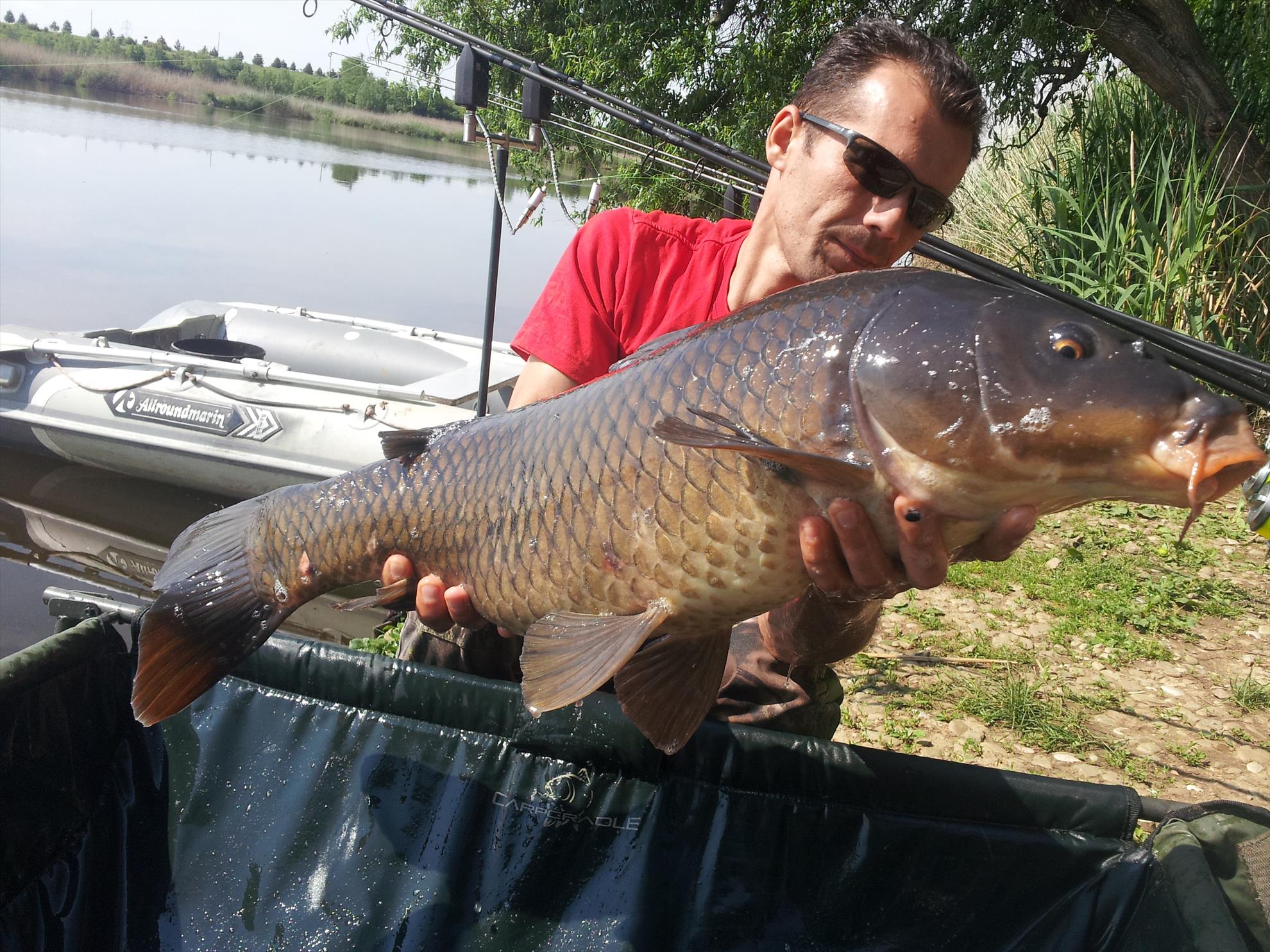 Tancabesti 1 - 4 iunie 2014 - 20150507100821.jpg